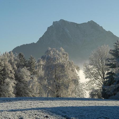 Hotel Altmuensterhof Eksteriør bilde