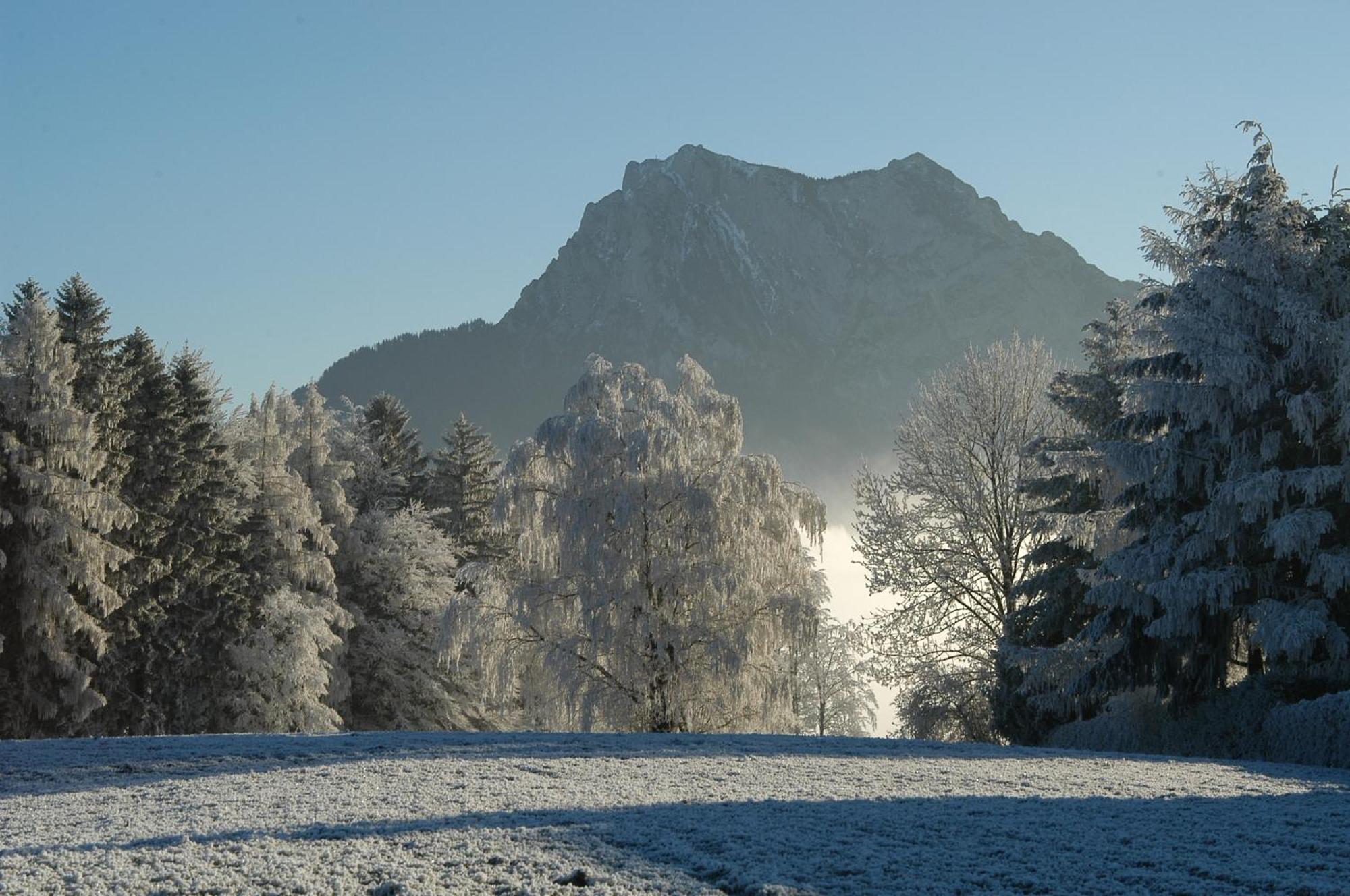 Hotel Altmuensterhof Eksteriør bilde