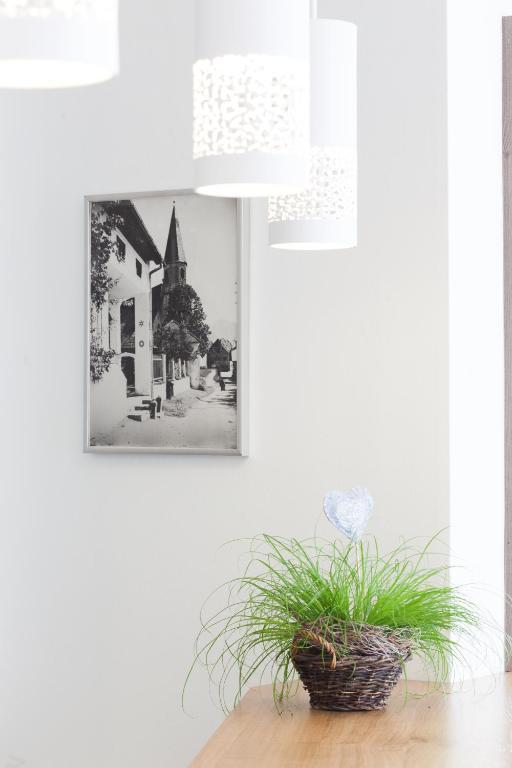 Hotel Altmuensterhof Eksteriør bilde